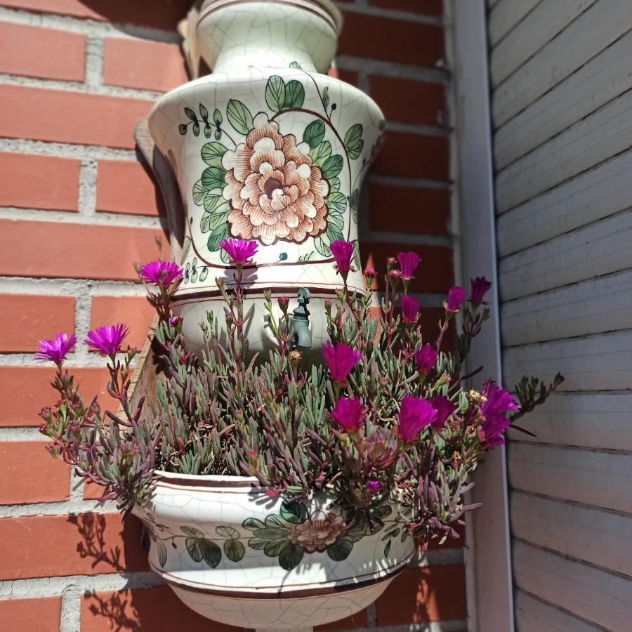 Bajo Con Jardin Privado Διαμέρισμα Σανταντέρ Εξωτερικό φωτογραφία